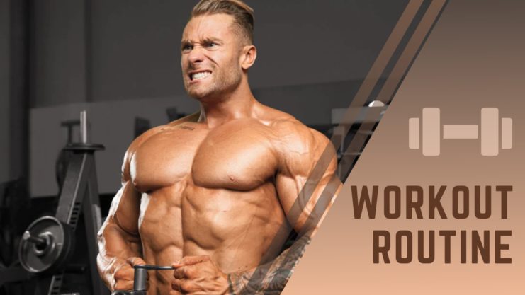 Chris Bumstead’s workout routine